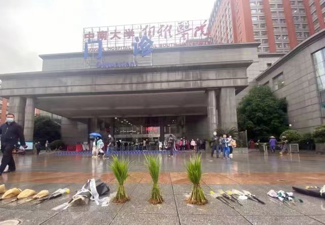 三束水稻 三束水稻