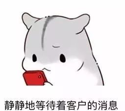 等客戶消息表情包 等客戶消息表情包